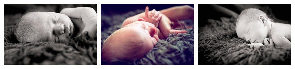newborn photographer seattle