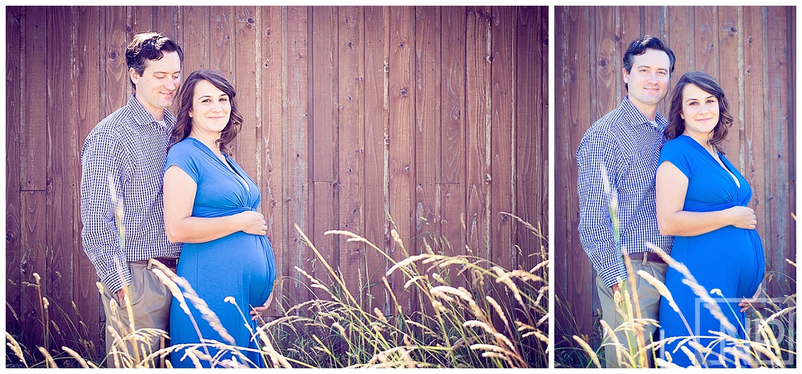 maternity photographer family photographer