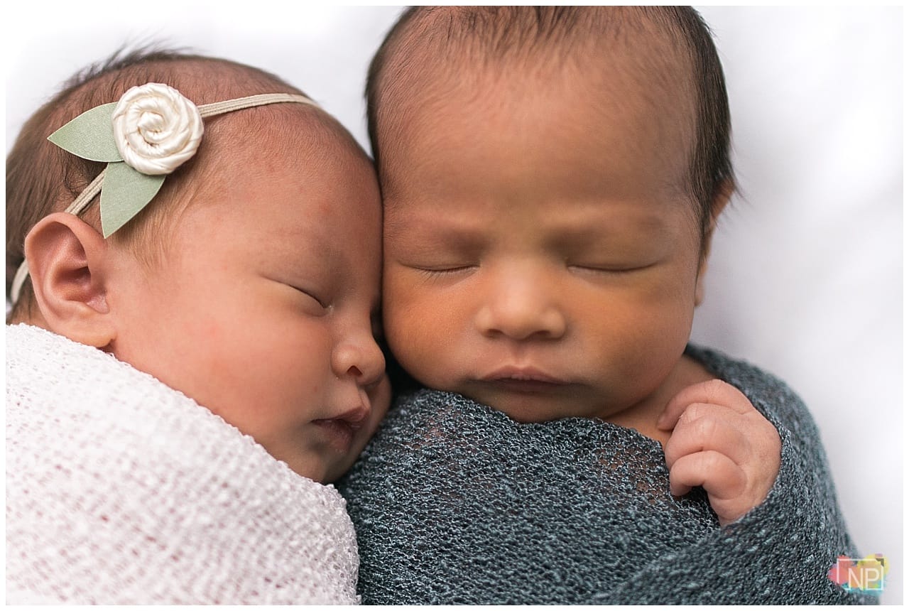 twin newborn session seattle