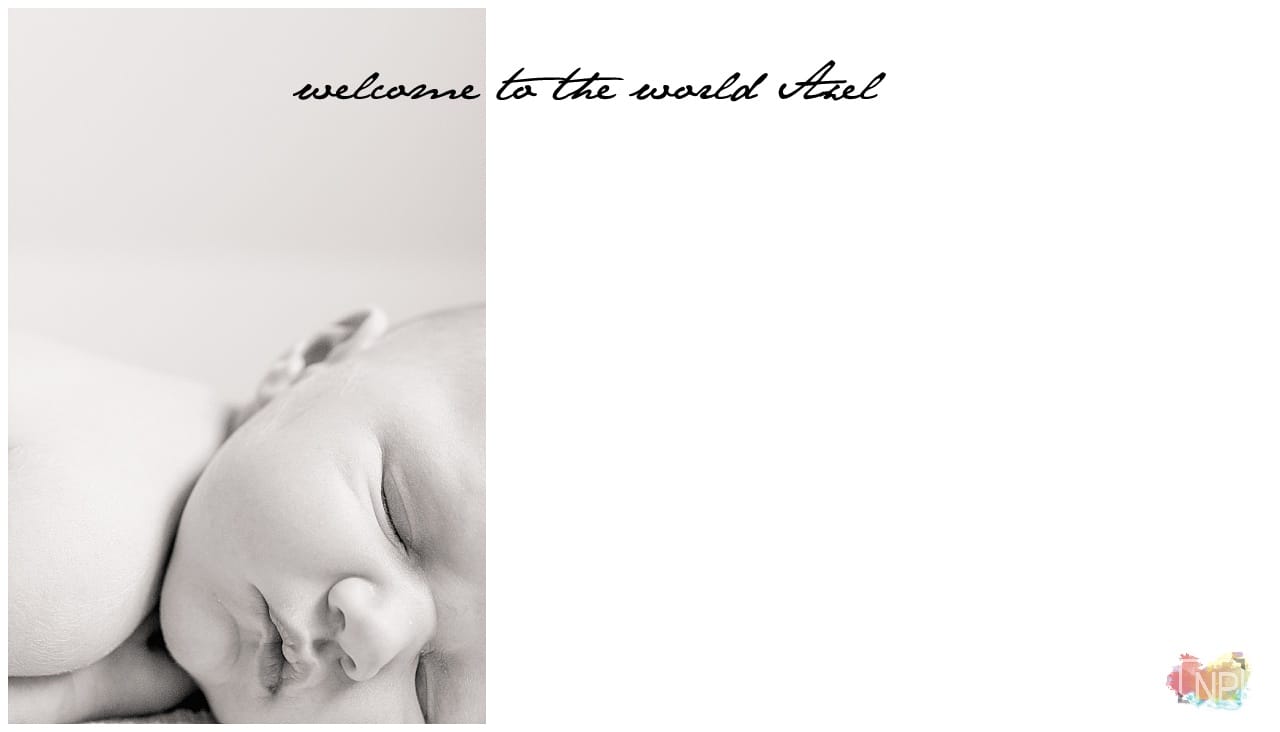 kirkland seattle bellevue newborn photographer