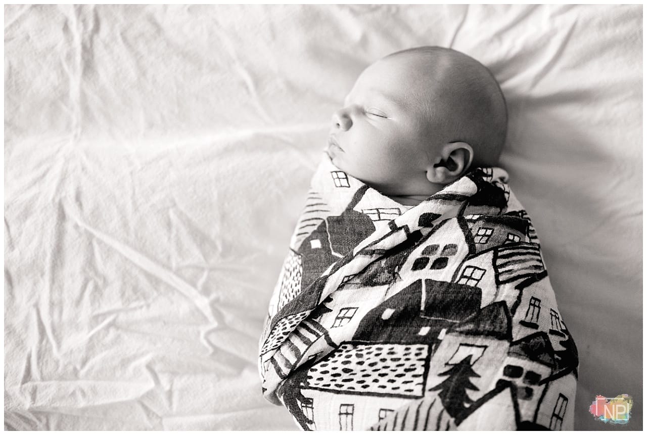 kirkland seattle bellevue newborn photographer